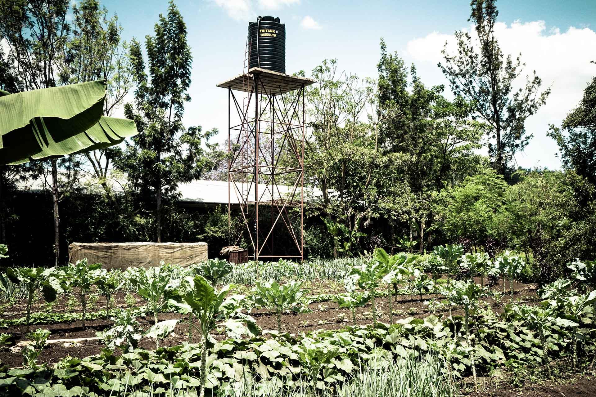 Water tower at the Baraa Primary School in Arusha bought with funds from the Belgian NGO iThemba of which the owner of Siringit is a great contributor