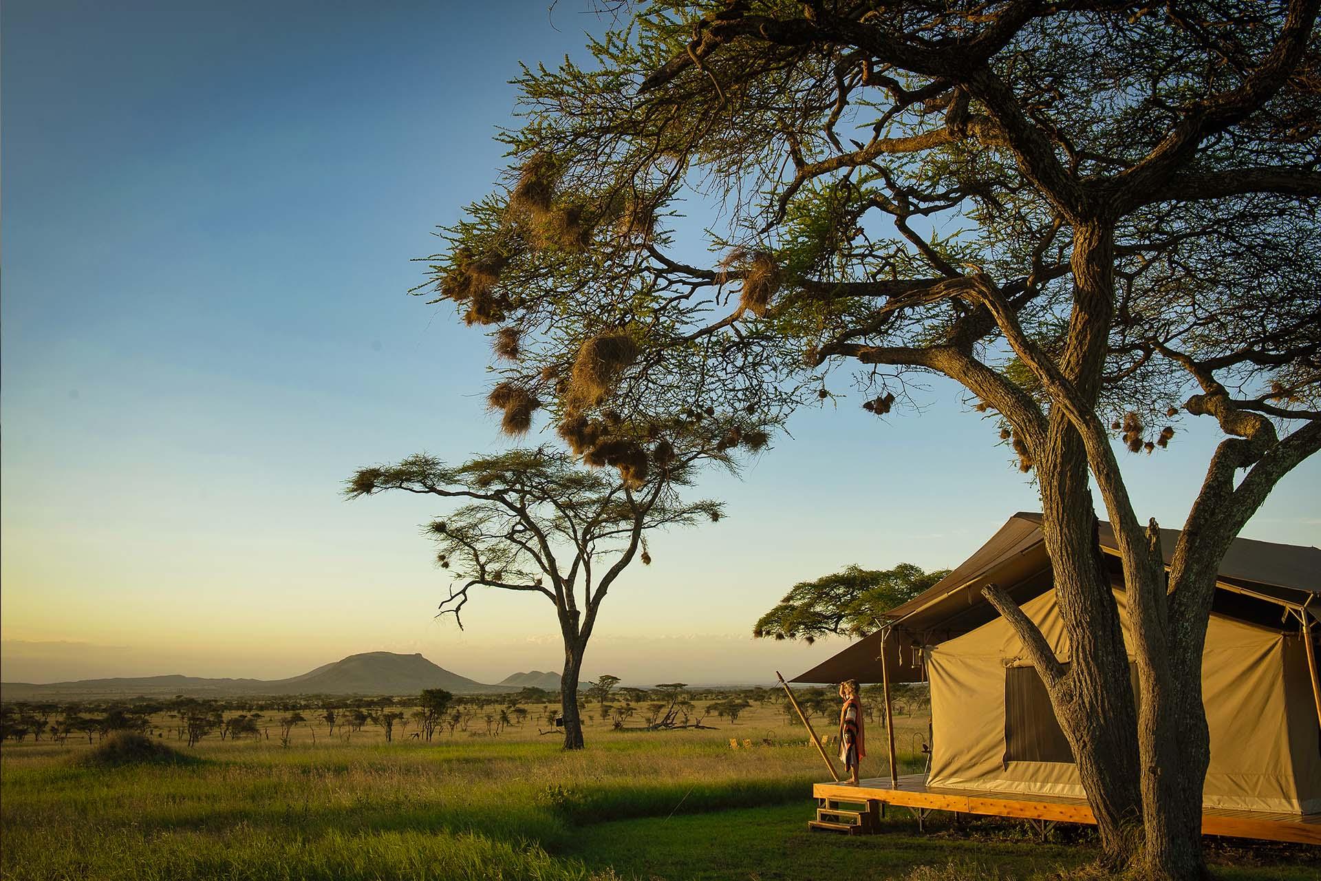 Interior of a luxury tent in the Siringit Serengeti Camp