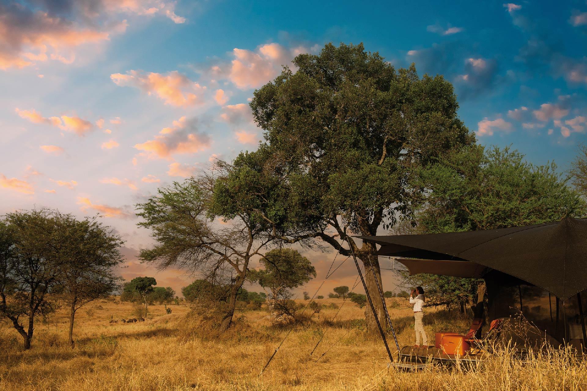 The Bedouin-style tents are positioned on a raised platforms to give you a 360-degree view of the Serengeti plains...